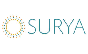 Surya Rugs