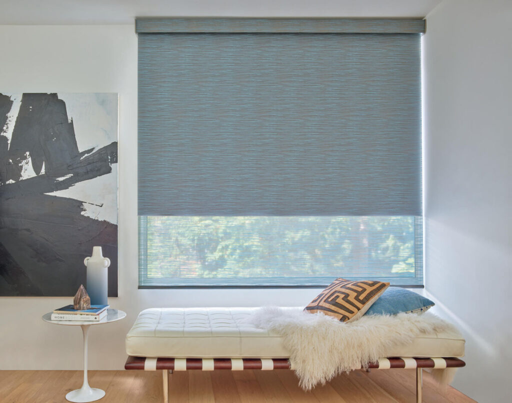 Hunter Douglas Designer Roller Shades Seigerman's Furniture