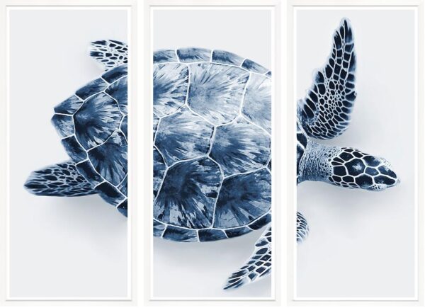 Trowbridge Blue Turtle