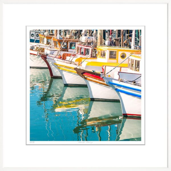 Trowbridge Colourful Moorings