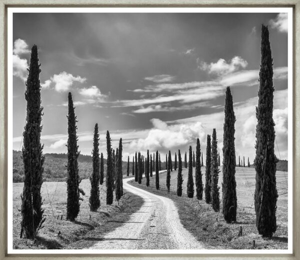 Trowbridge Italian Highway