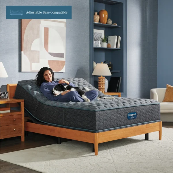 Beautyrest Level 1 Mattress